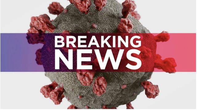 澳大利亚新州首席卫生官员钱特博士(kerry chant)