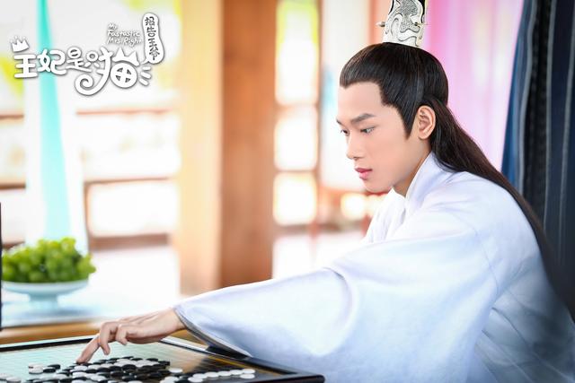 萌宠娇憨甜不腻《报告王爷,王妃是只猫》420上线撒糖