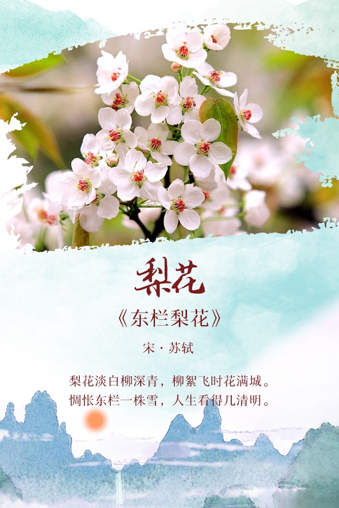 人间四月天最美的诗词伴你踏青赏花