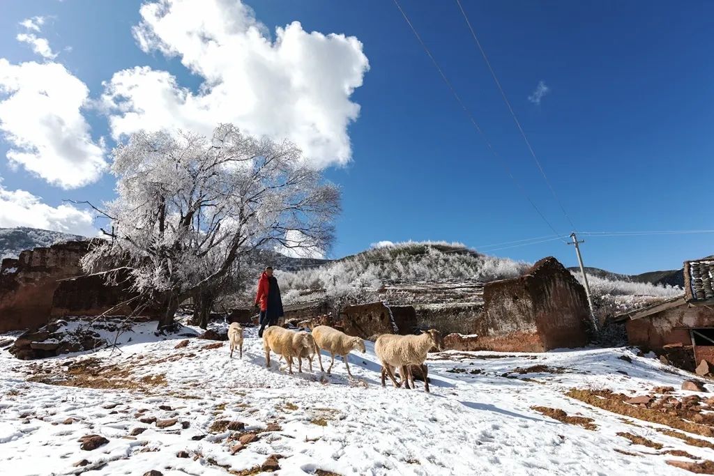 航拍凉山 | 雪后谷克德,壮美如画