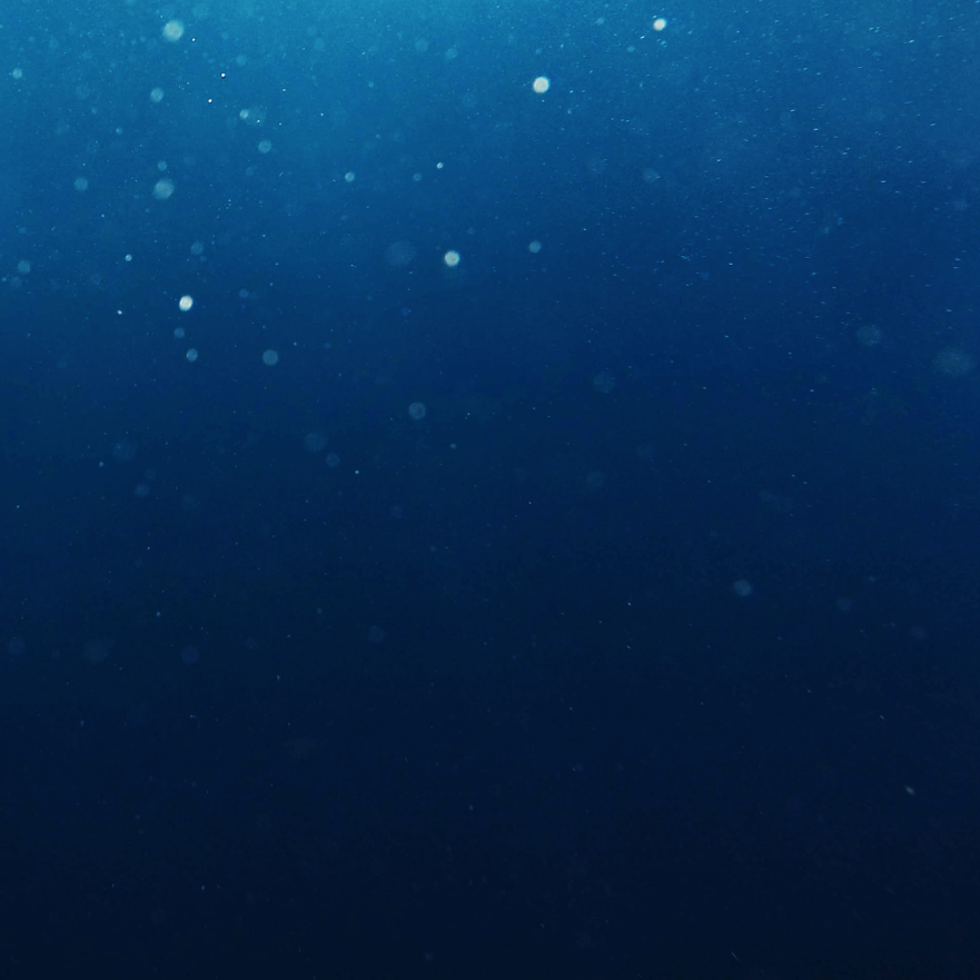 vivos6多瑙河图赏水中的浪漫乐章