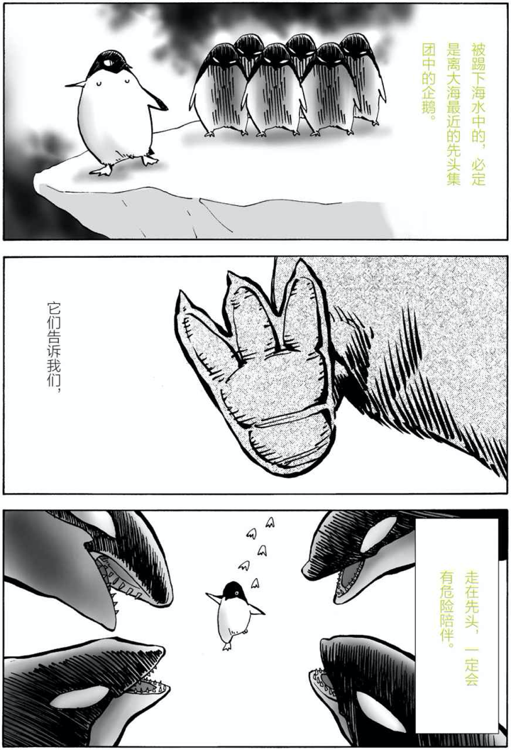 企鹅:我来教你什么叫枪打出头鸟