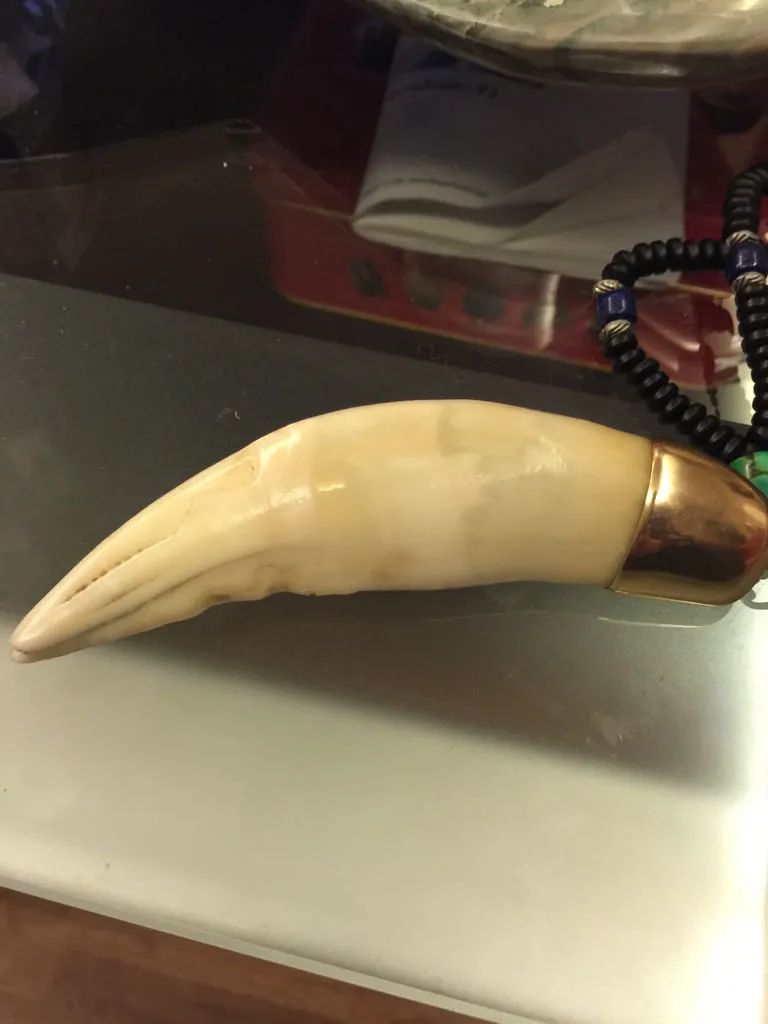 肺炎东北虎的尸体上了餐桌