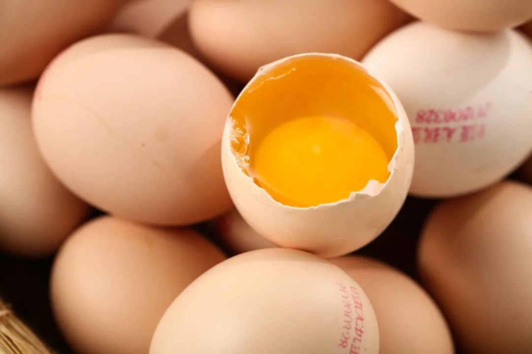 蛋黄_新浪新闻