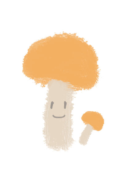 它·有故事每一朵蘑菇,都是大自然孕育的奇迹,它跟随精准助农项目而来