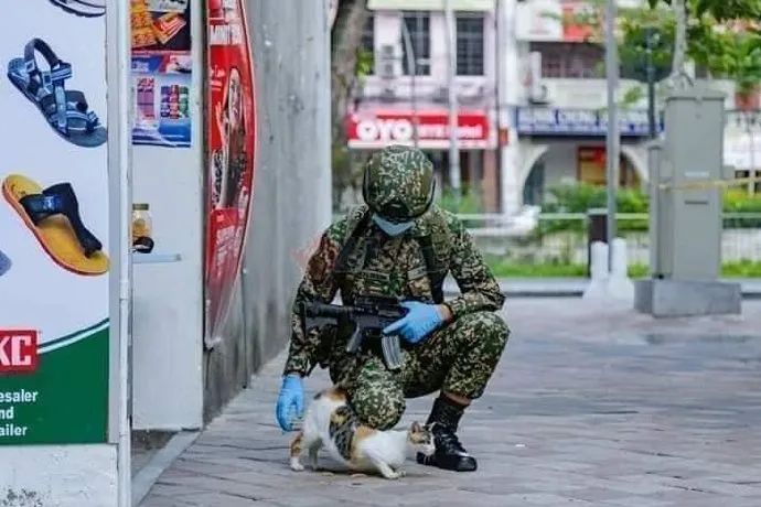 士兵站岗时,发现后面有一只猫,接下来的举动亮了!