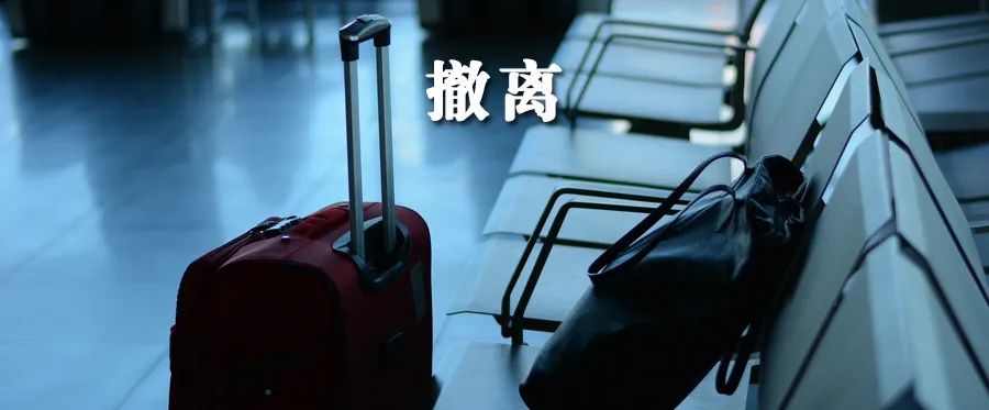 华人家庭收留 紧急包机回国 英国小留学生做梦般的大撤离 疫情 新冠肺炎 新浪新闻