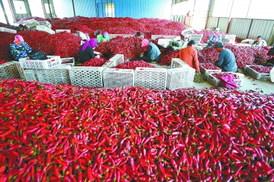 吉林省最穷的县排名_吉林省2019年度贫困县退出公示(2)