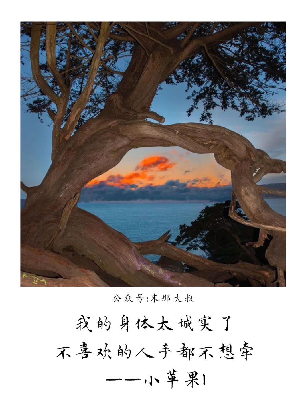 "我对你向往,但不抱希望"