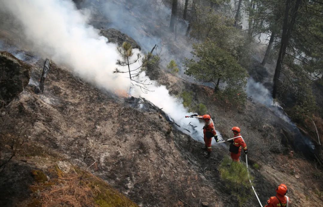 林芝火灾又是"云南松",森林火灾中灭火人员在哪最危险?如何规避危险?