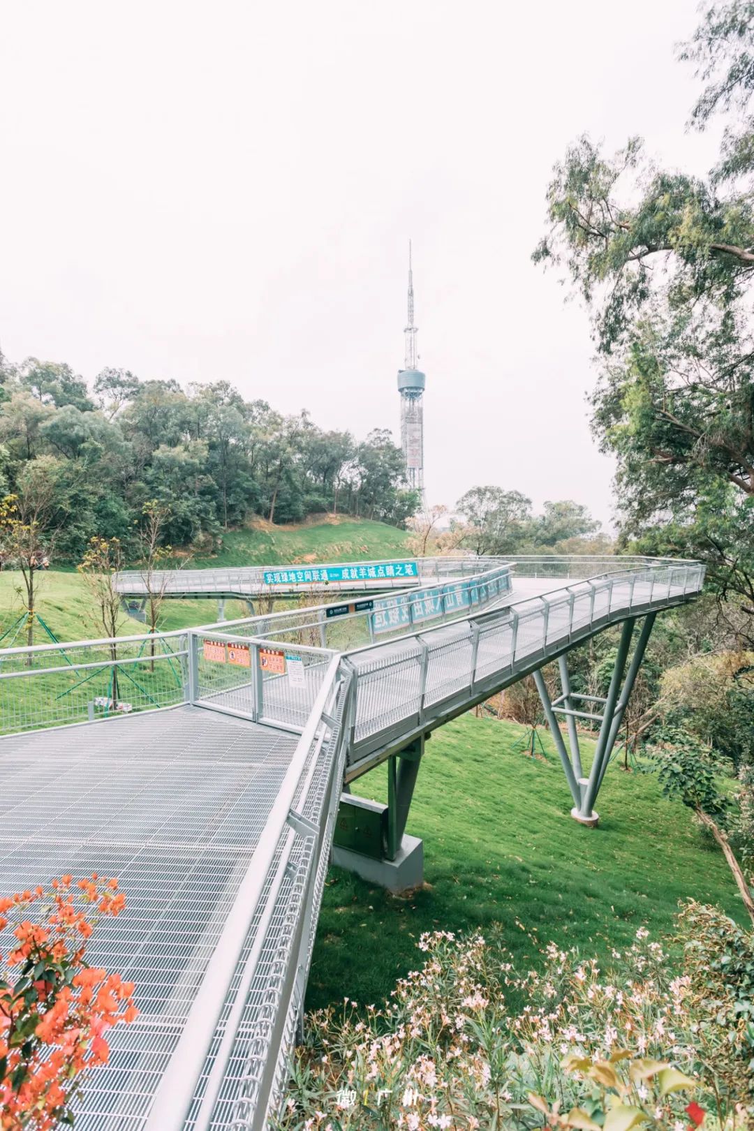 广州云道实行分时预约,每小时4000人