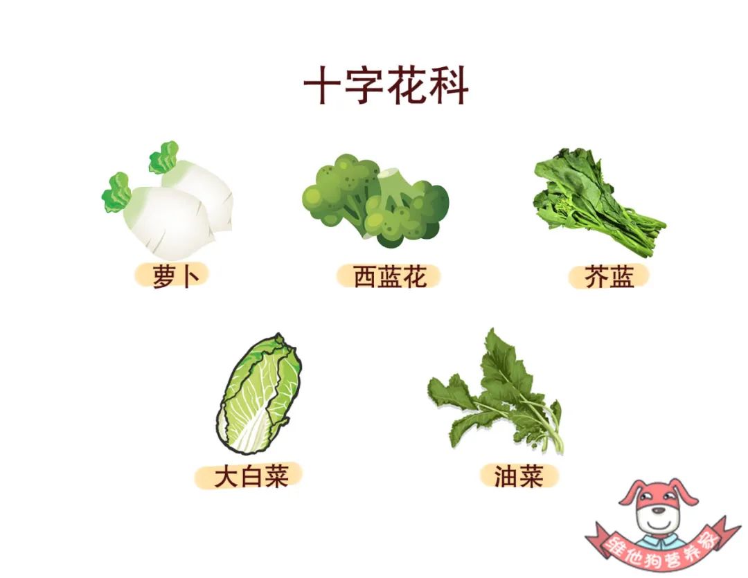 有研究发现,多吃十字花科蔬菜的以及多吃水果的女性罹患乳腺癌的风险