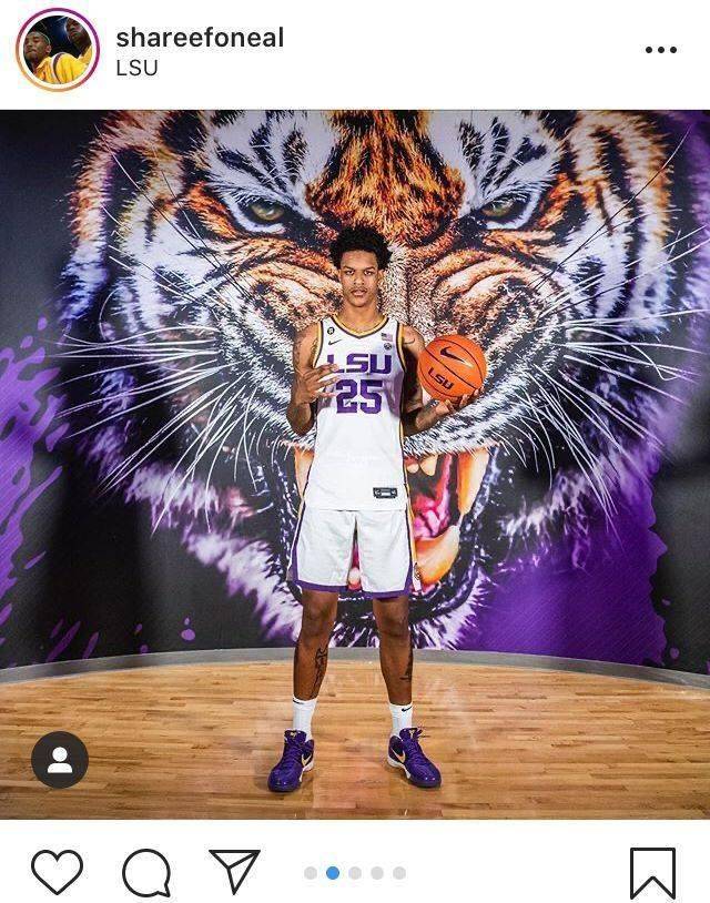 沙里夫-奥尼尔正式转学至父亲的母校lsu