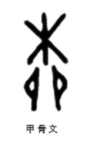 柳树 为春天代言_手机新浪网