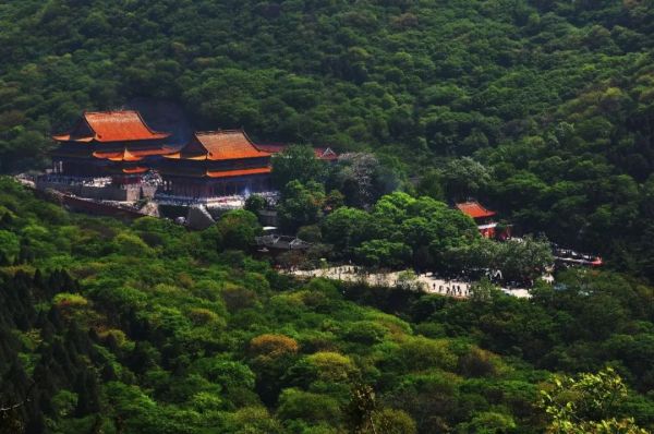 春游江淮请您来 | 碳谷名城 绿金淮北