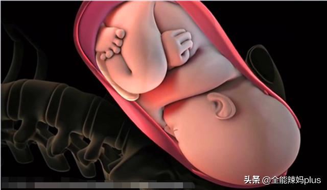 生孩子不只孕妈痛,宝宝在腹中也"拼了"!看完全过程被暖哭|孕妈|胎儿_