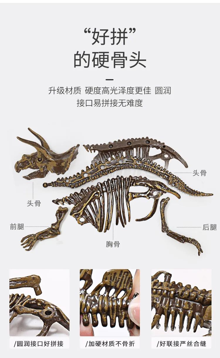 开团| 走进侏罗纪时代,化身小小考古家,发掘并修复属于自己的恐龙化石