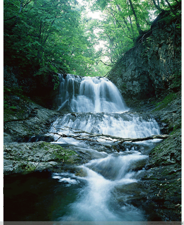 8个最难读的绕口令据说一字不错的人不超过15好玩又健脑