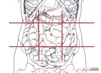 这里有一张腹部分区图:胃的解剖位置呈周期性发作,常与季节变化,饮食