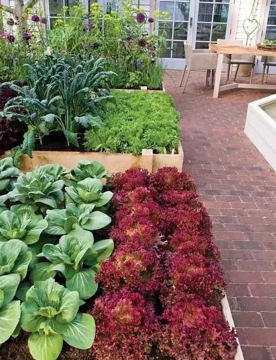 有一种菜园也叫花园——乡村庭院私家花园景观绿化翻新改造设计!