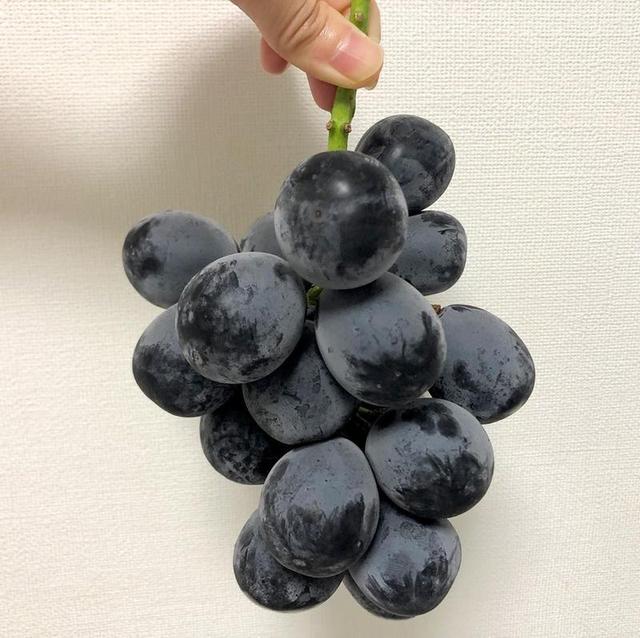 日本黑色葡萄品种(2)——长野紫