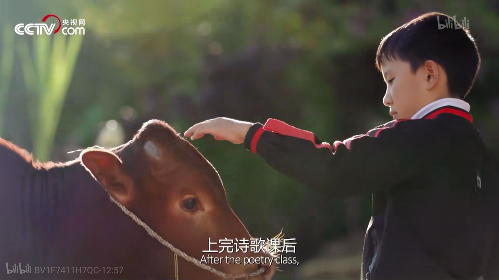 92分的纪录片人生第一次从生到死的严肃命题