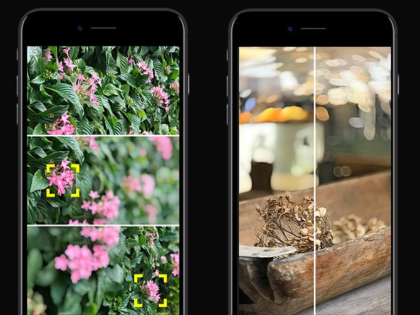 iphone虚化能秒杀单反吗?试试这3招就知道了!
