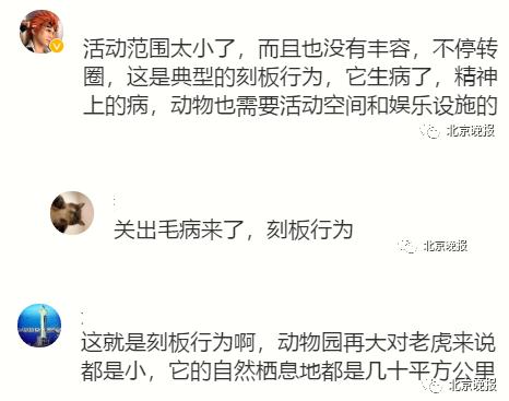 有网友留言指出"这是刻板行为"