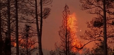 这在以前人类会毫不犹豫地进行扑救,而现在大火肆虐.