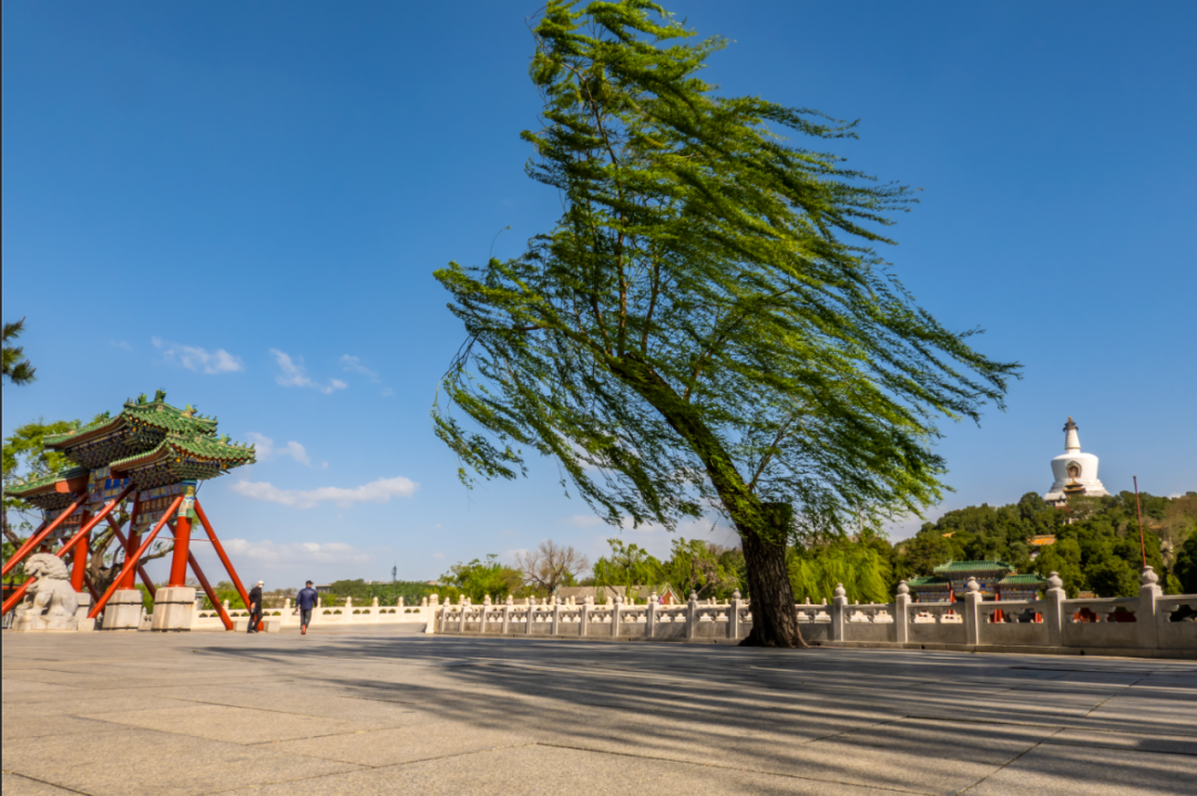别问我今天风有多大,看图你就知道了!
