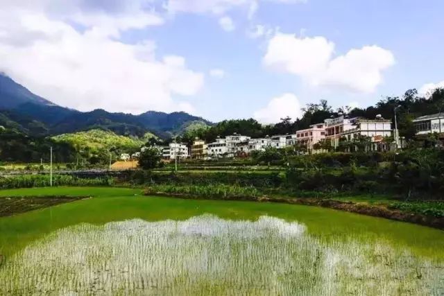 畅游|这个五一假期,我们去看看五指山市水满乡新村有多美!