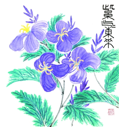 一派"紫气东来"的景象——那里绽放的"二月兰"野花,铺就成天然的地毯