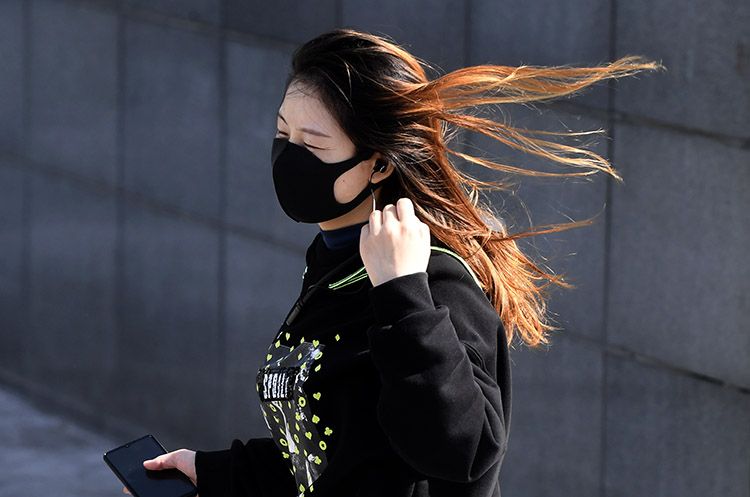 北京发布大风黄色预警 阵风9级伴有扬沙|组图