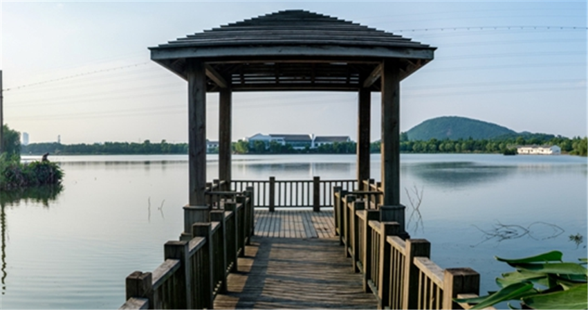 美丽乡村|江苏江阴花山村: 从"江南第一古城"到"国家森林乡村"的蝶变