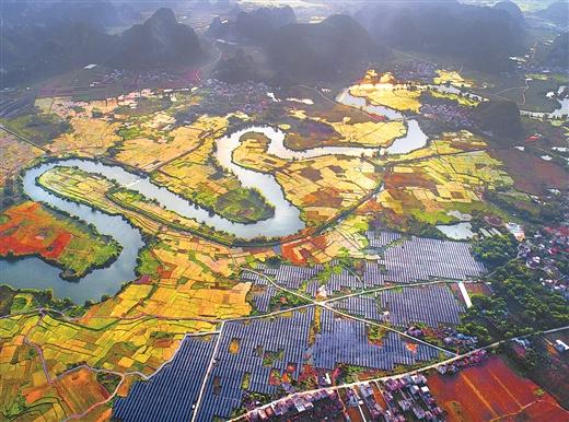 春日里的上林县阳光明媚,白圩镇大浪村的光伏发电场在阳光下熠熠生辉