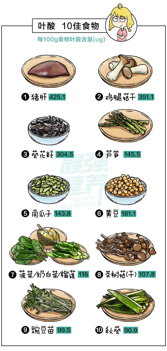 富含叶酸的食物有哪些【叶酸的食物有哪些】