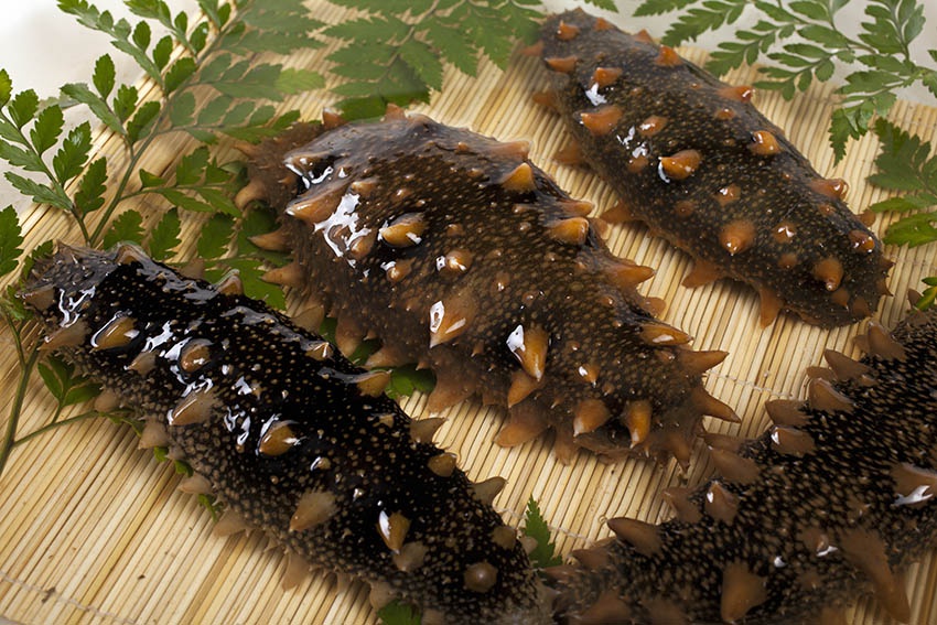 长海海参,产自位于北纬39度的大连市长海县.