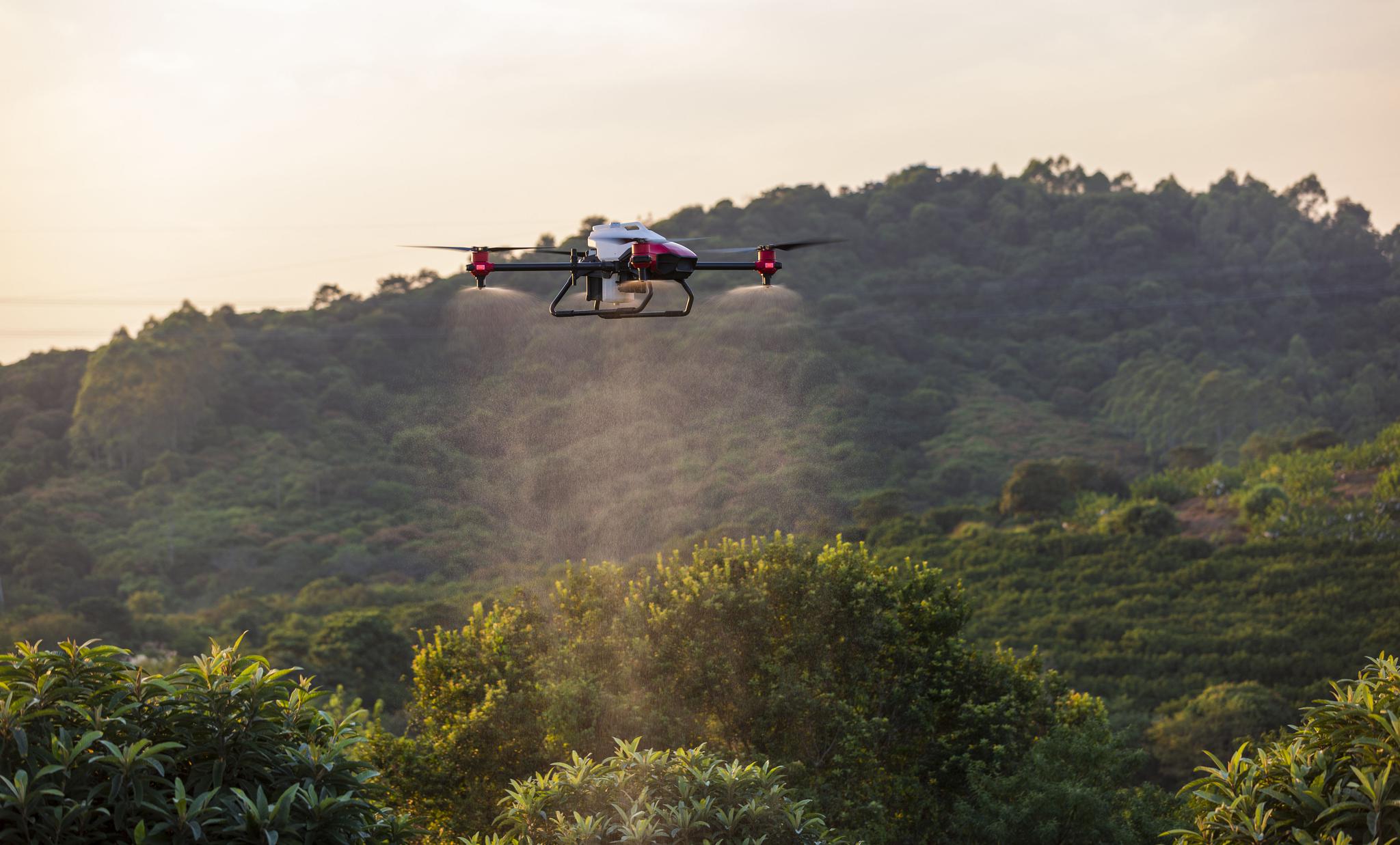 极飞农业无人机正在进行果树飞防作业   极飞科技