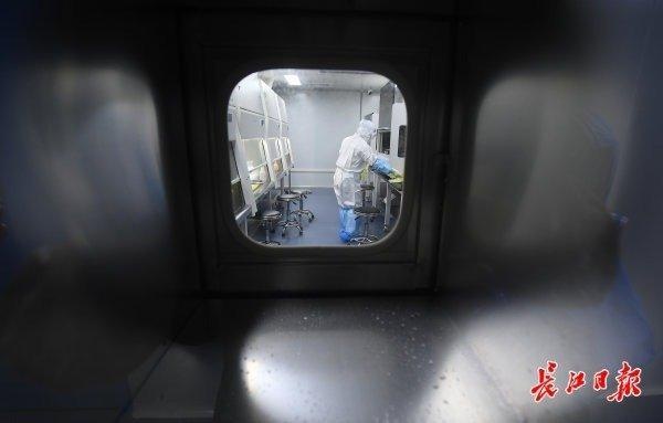 一天可检2万人份新冠肺炎病毒，生产百万人份试剂盒，武汉“火眼”实验室被多国“复制”落户