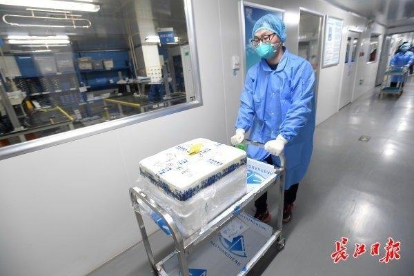一天可检2万人份新冠肺炎病毒，生产百万人份试剂盒，武汉“火眼”实验室被多国“复制”落户