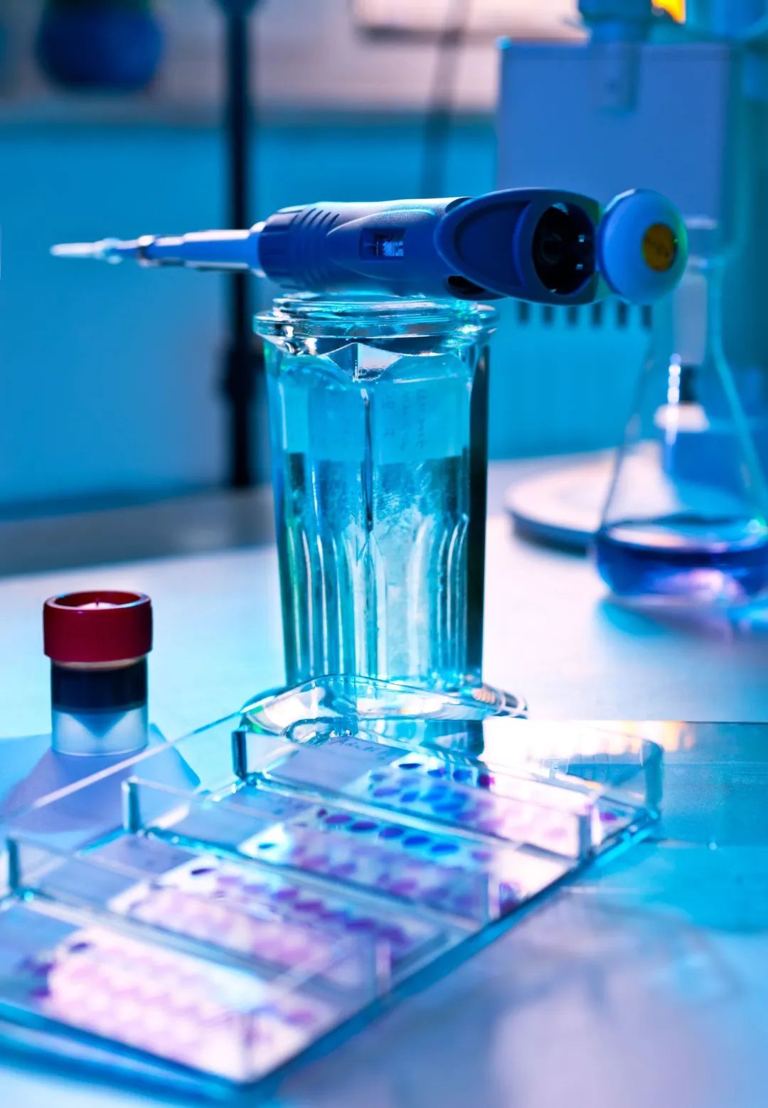 预测肿瘤,"一管血"就可以实现了!一起get液体活检这个新技术!