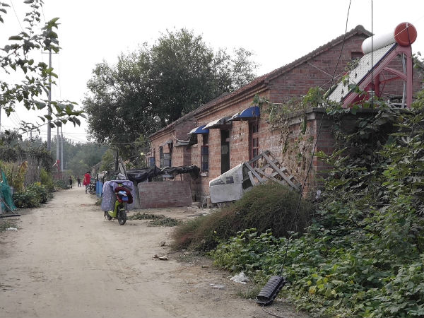 乡镇书记话农房改善|沭阳县钱集镇:住上好房子,走上好路子,过上好日子