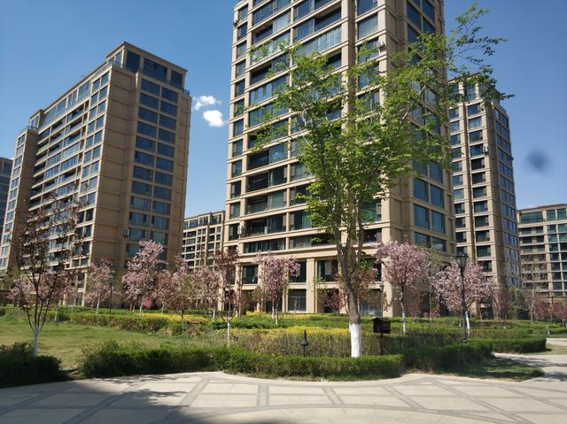 乌鲁木齐这个小区绿化颜值爆表走在小区犹如走在春天的油画里