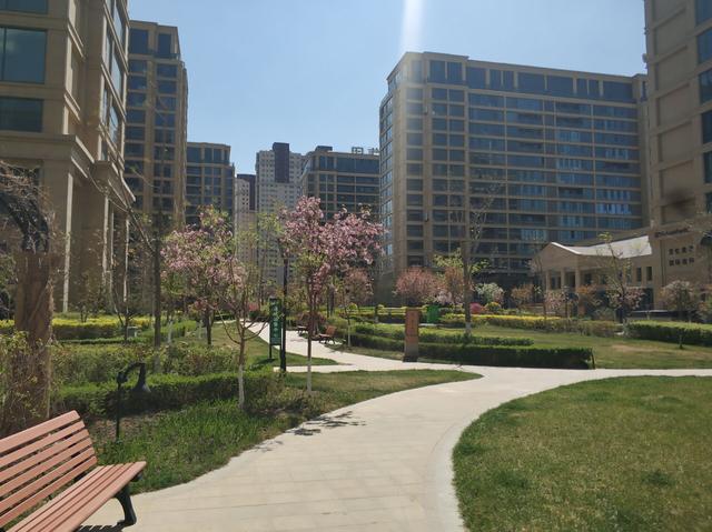 乌鲁木齐这个小区绿化颜值爆表走在小区犹如走在春天的油画里