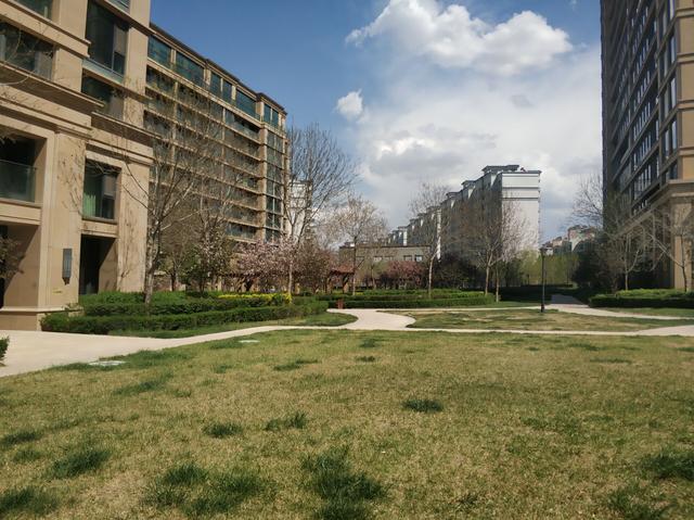 绿城玉园全景图,绿化确实非常美小区楼前楼后都是各种花花草草,基本是