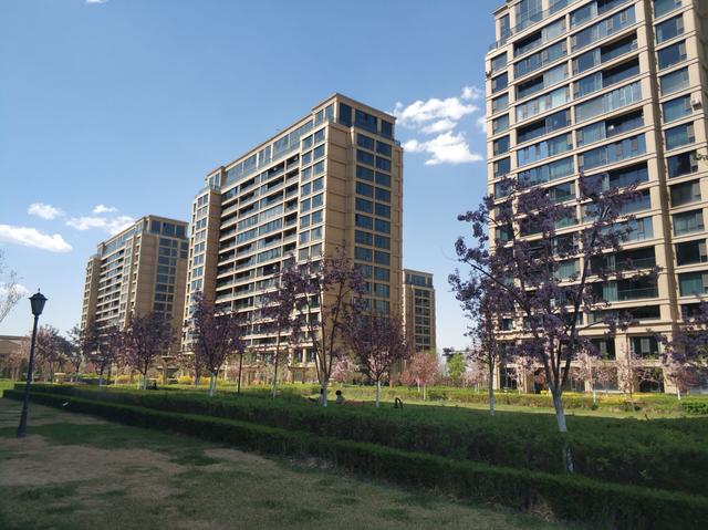 乌鲁木齐这个小区绿化颜值爆表走在小区犹如走在春天的油画里