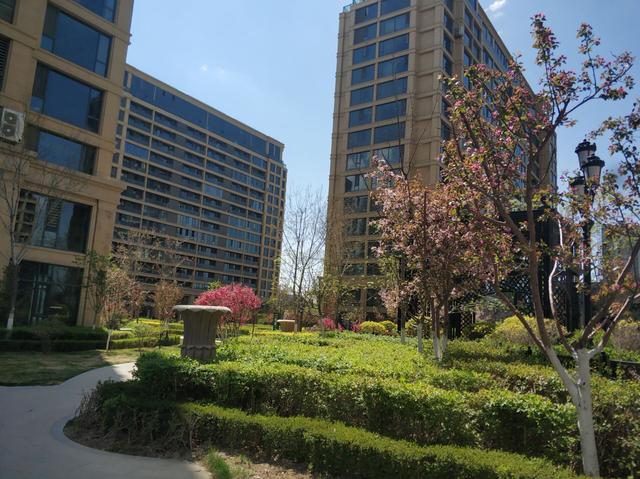 乌鲁木齐这个小区绿化颜值爆表走在小区犹如走在春天的油画里