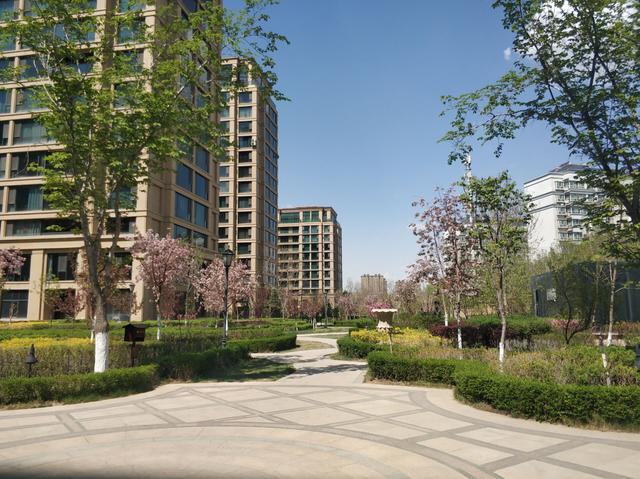 乌鲁木齐这个小区绿化颜值爆表走在小区犹如走在春天的油画里