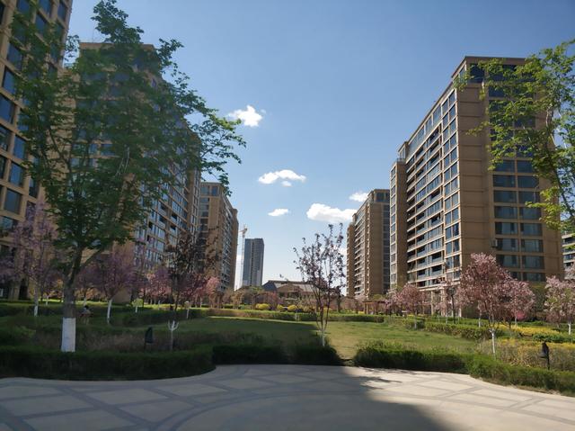 乌鲁木齐这个小区绿化颜值爆表走在小区犹如走在春天的油画里