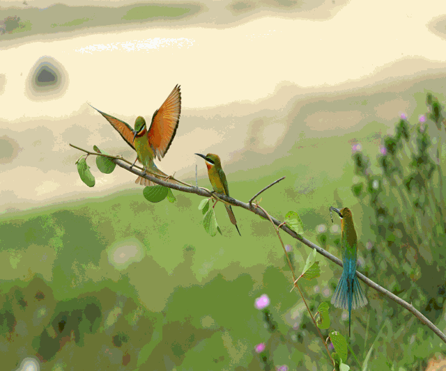 640_533gif 动态图 动图